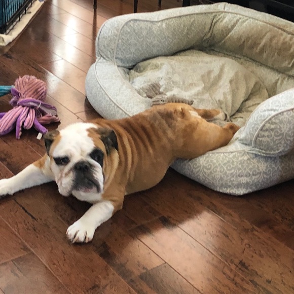 Meet your Posher, Candice - Picture 11 of 12